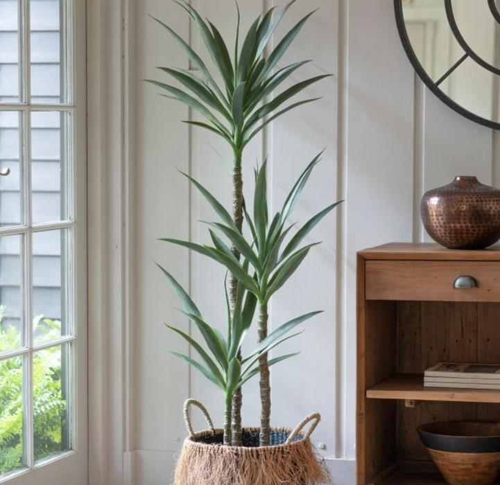 Artificial 3 Heads of Yucca Tree, Indoor  ( Due Back In 10/11/24 )