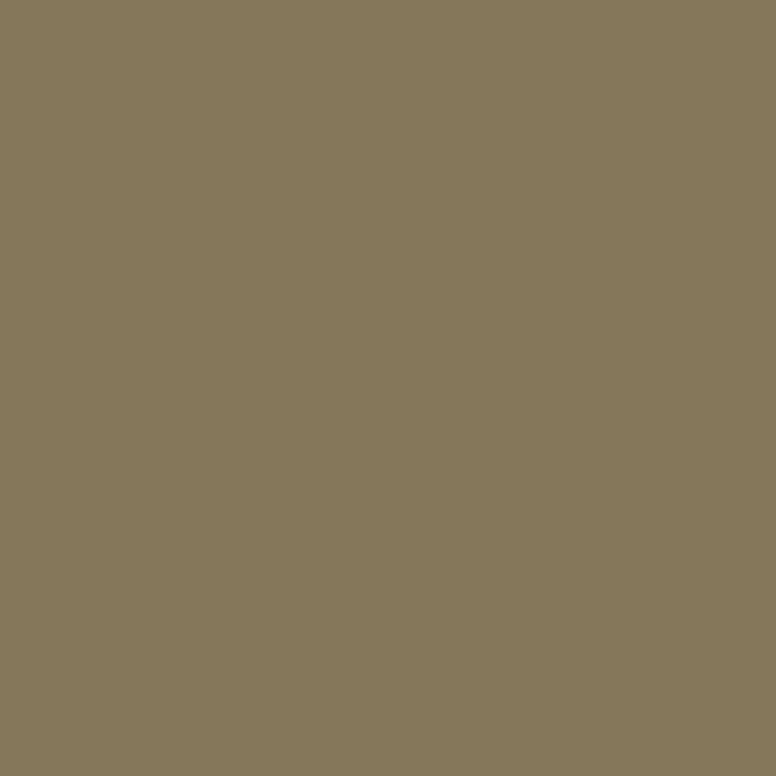 William Morris At Home Woodland Vole Emulsion Paint – Warm & Luxurious Caramel Beige