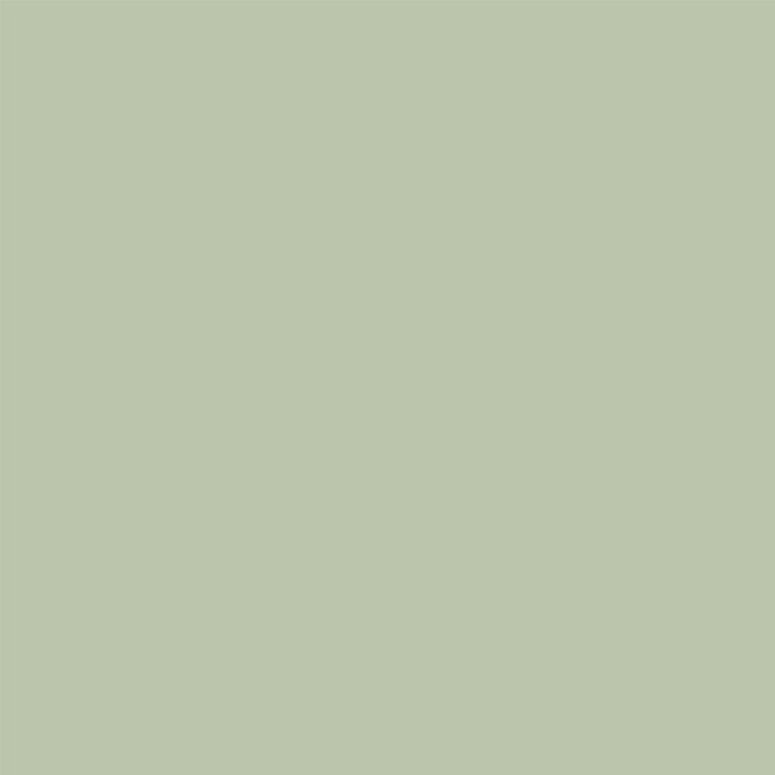 Shabby Chic by Rachel Ashwell Greenfield Emulsion Paint – Soothing and Immersive Pastel Green