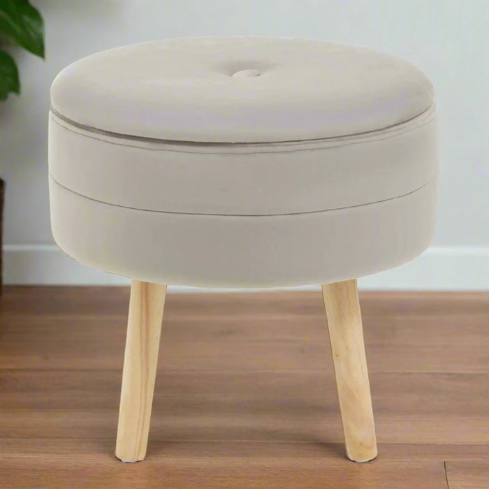 Mink Velvet Upholstered Storage Stool