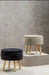 Mink Velvet Upholstered Storage Stool