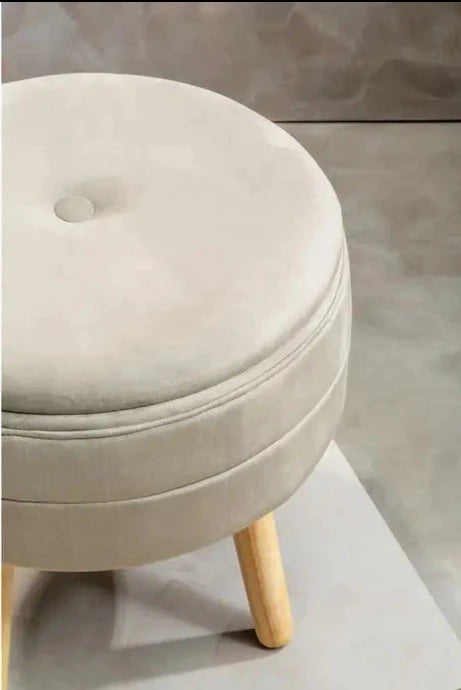 Mink Velvet Upholstered Storage Stool