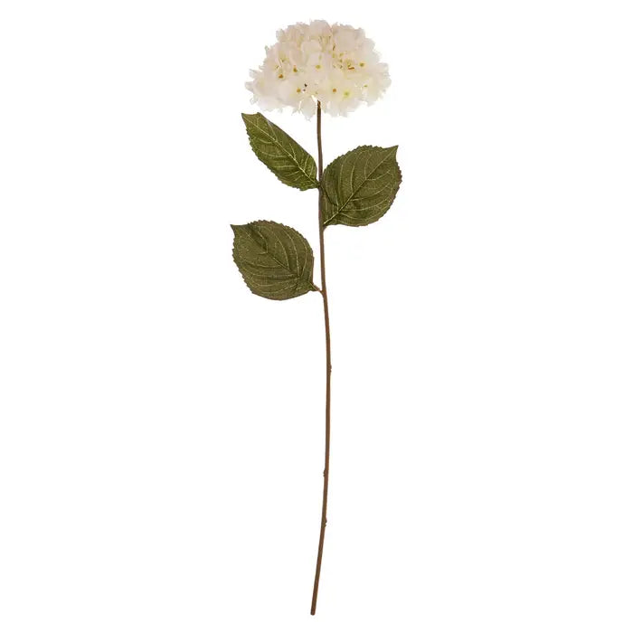 Cream Hydrangea Stem