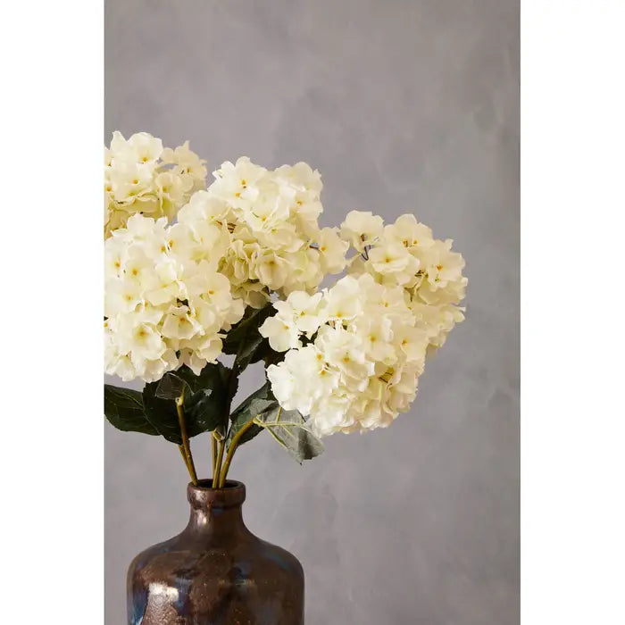 Cream Hydrangea Stem