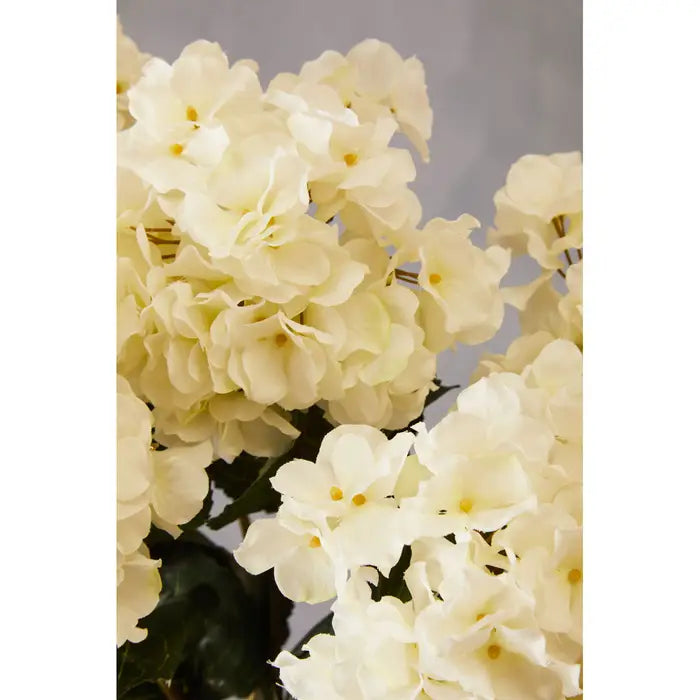 Cream Hydrangea Stem