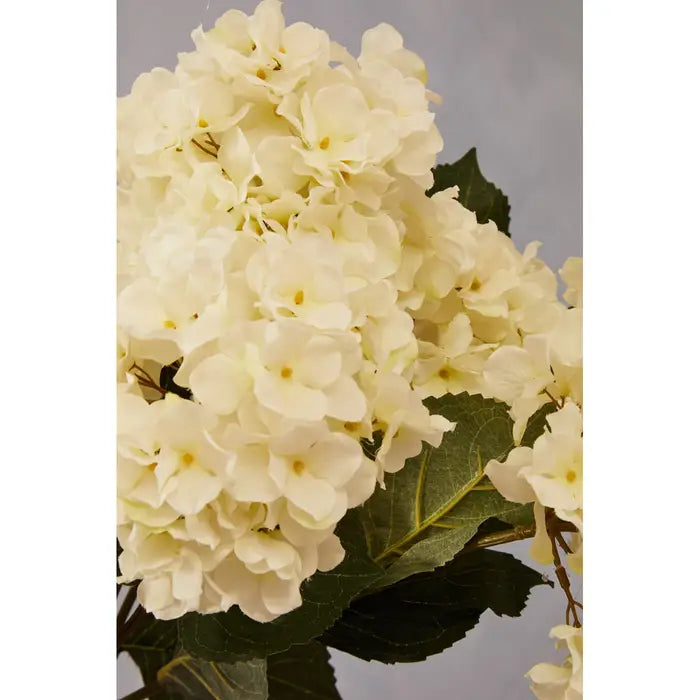 Cream Hydrangea Stem