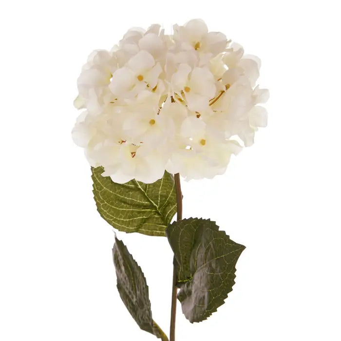 Cream Hydrangea Stem