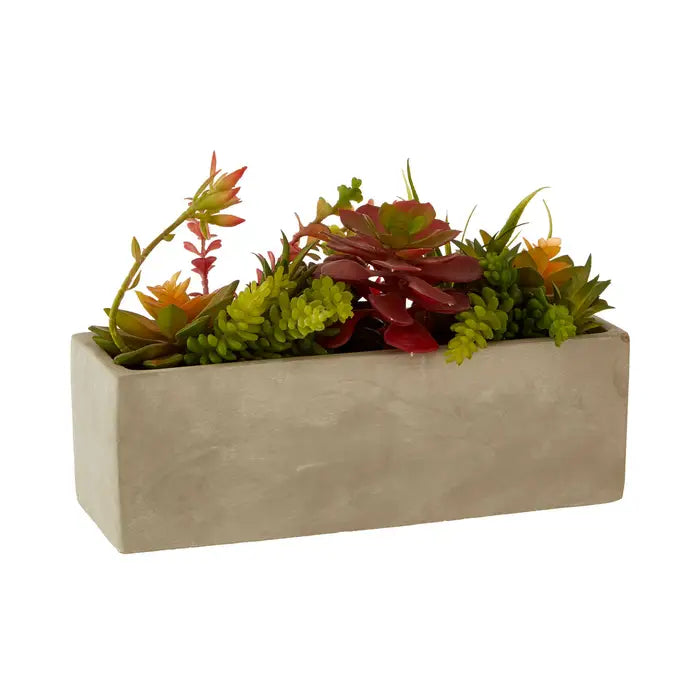 Artificial Fiori Mixed Succulents with Cement Pot