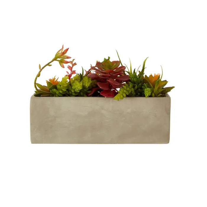 Artificial Fiori Mixed Succulents with Cement Pot