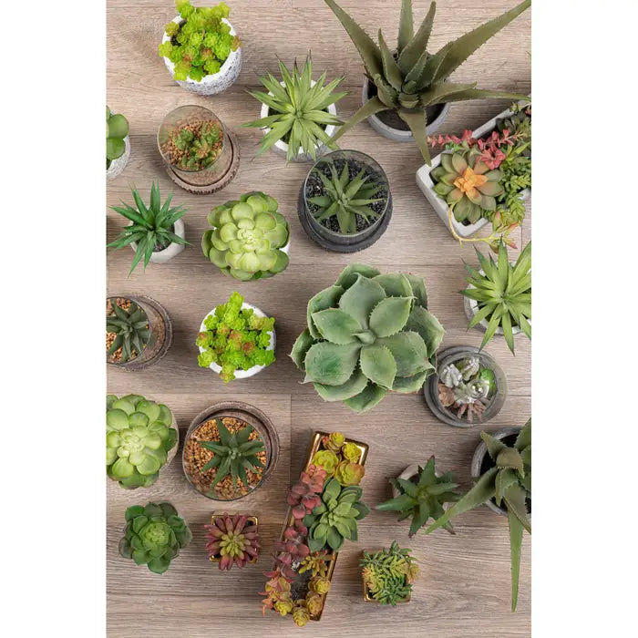 Artificial Fiori Mixed Succulents with Cement Pot