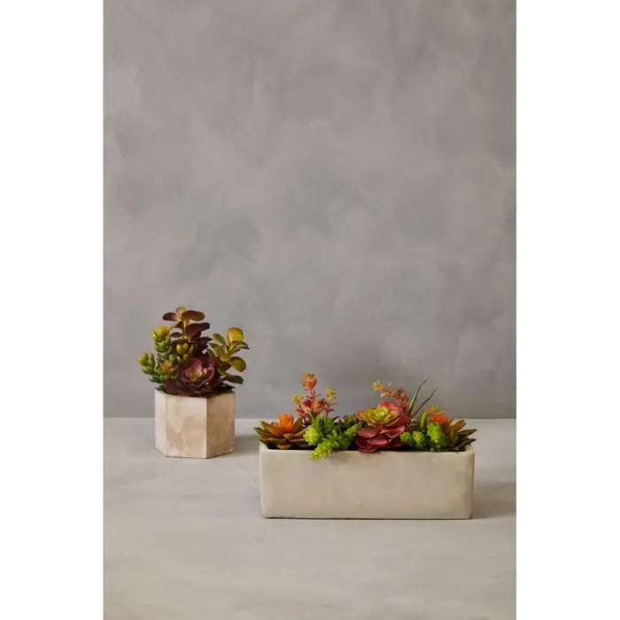 Artificial Fiori Mixed Succulents with Cement Pot