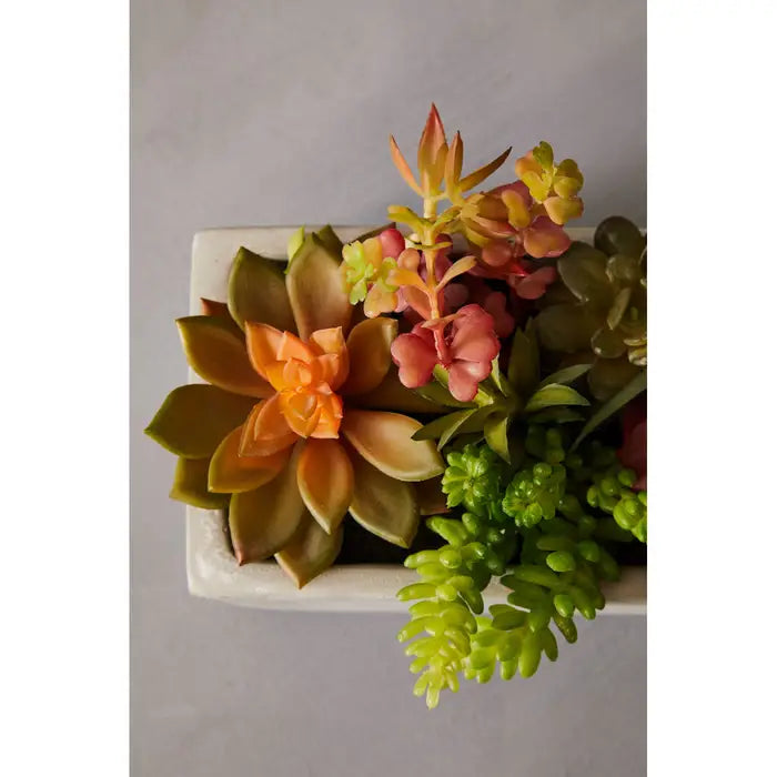 Artificial Fiori Mixed Succulents with Cement Pot