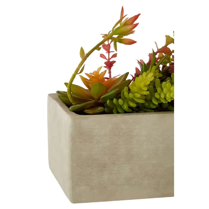 Artificial Fiori Mixed Succulents with Cement Pot