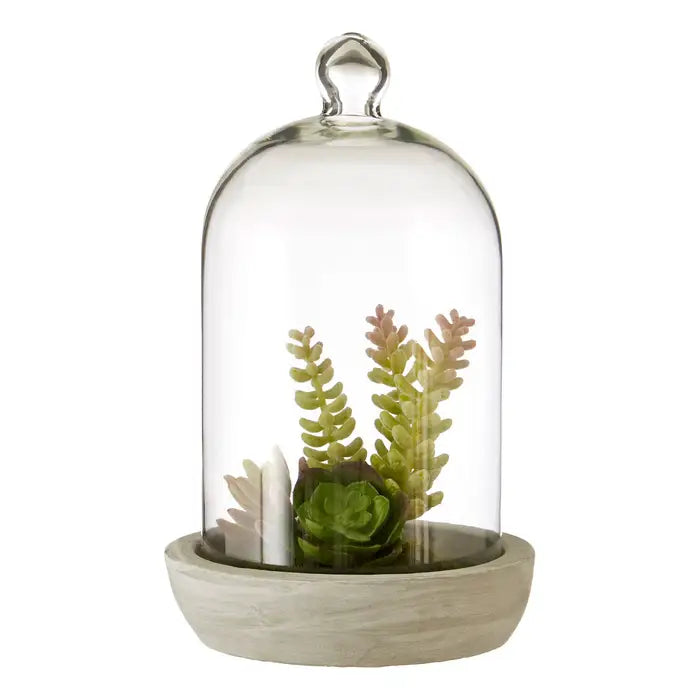 Artificial Fiori Large Succulent Dome Cement Base