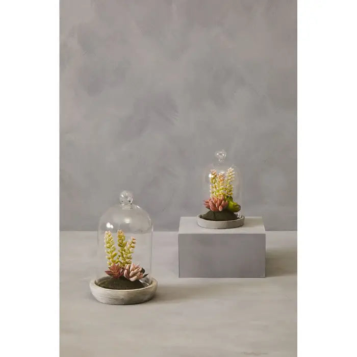 Artificial Fiori Large Succulent Dome Cement Base