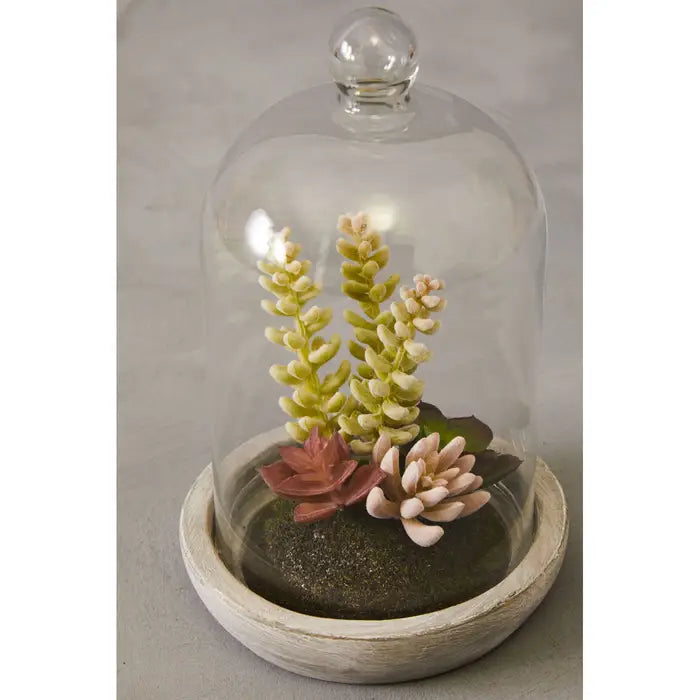 Artificial Fiori Large Succulent Dome Cement Base