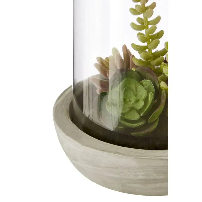 Artificial Fiori Large Succulent Dome Cement Base