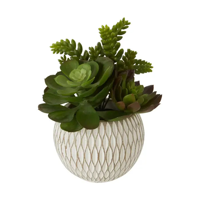 Artificial Fiori White Round Pot Mixed Succulent