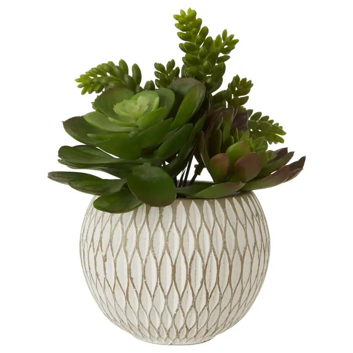 Artificial Fiori White Round Pot Mixed Succulent