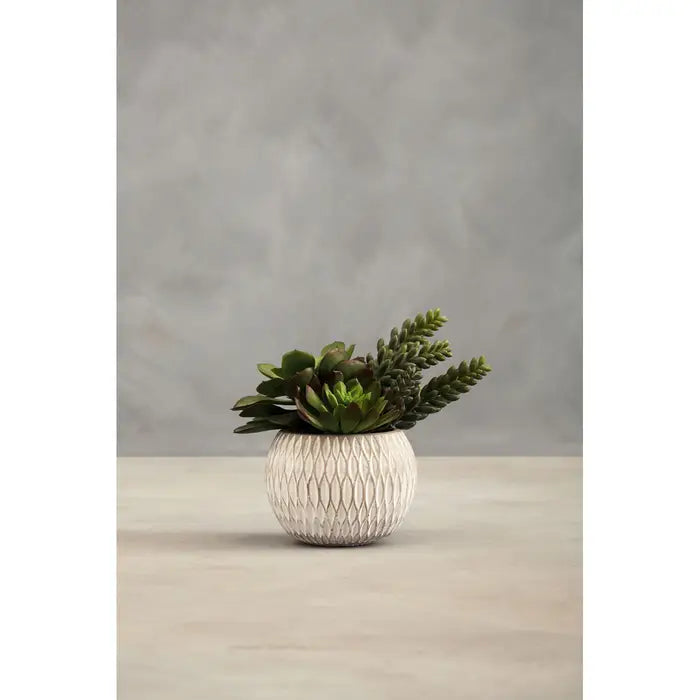 Artificial Fiori White Round Pot Mixed Succulent