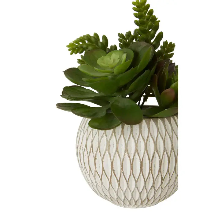 Artificial Fiori White Round Pot Mixed Succulent