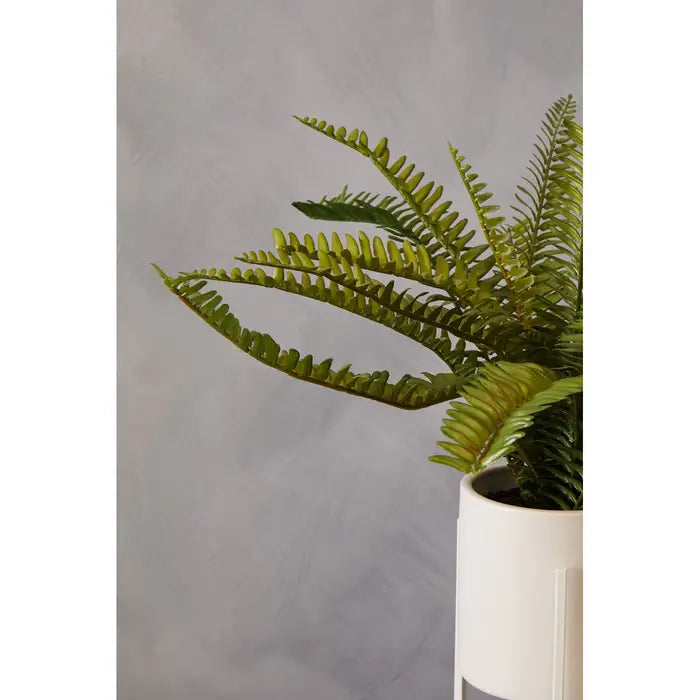 Artificial Fiori Fern with White Cement and Iron Pot