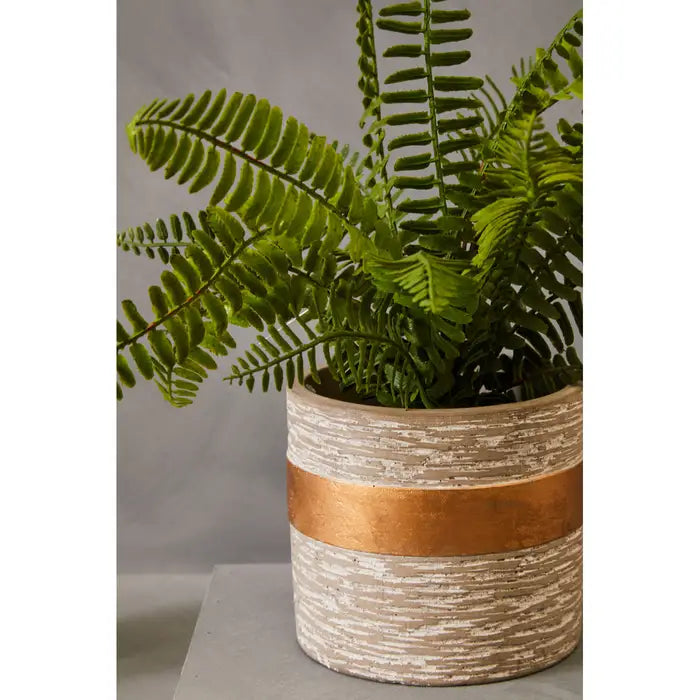 Artificial Fiori Boston Fern Succulent