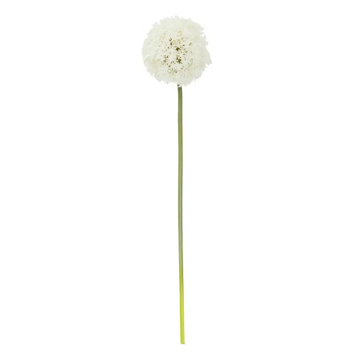 Artificial Fiori 72cm Allium Stem Ivory Flower