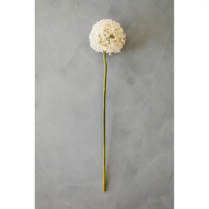 Artificial Fiori 72cm Allium Stem Ivory Flower
