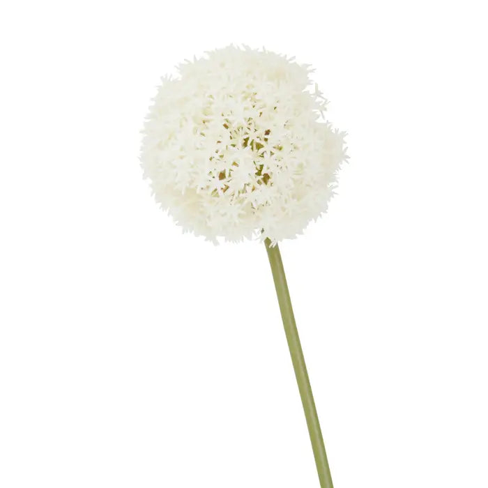 Artificial Fiori 72cm Allium Stem Ivory Flower