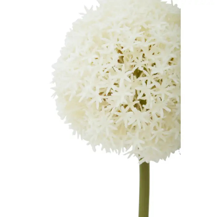 Artificial Fiori 72cm Allium Stem Ivory Flower