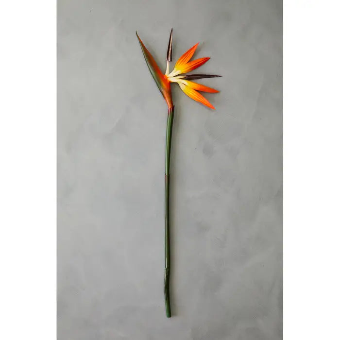 Artificial Fiori 92cm Bird Of Paradise