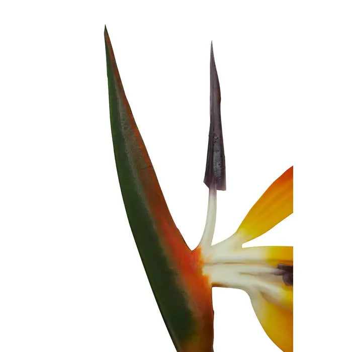 Artificial Fiori 92cm Bird Of Paradise