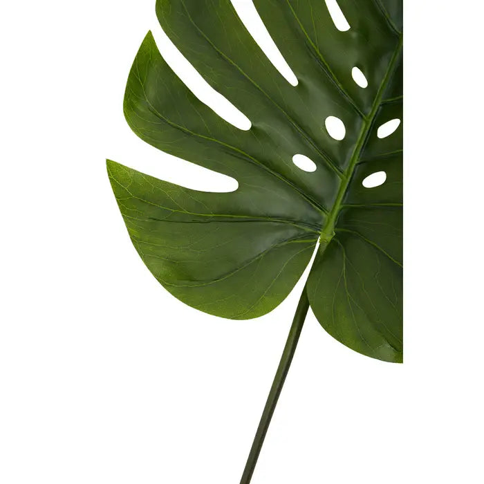 Artificial Fiori 109cm Green Stem Monstera Palm