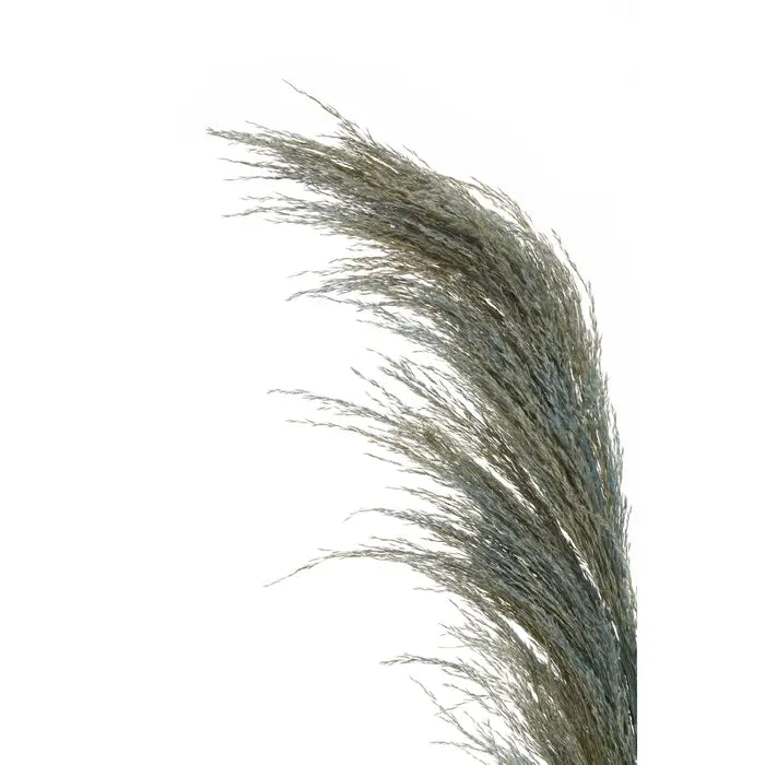 Artificial Fiori Pampas Grass Blue Stem