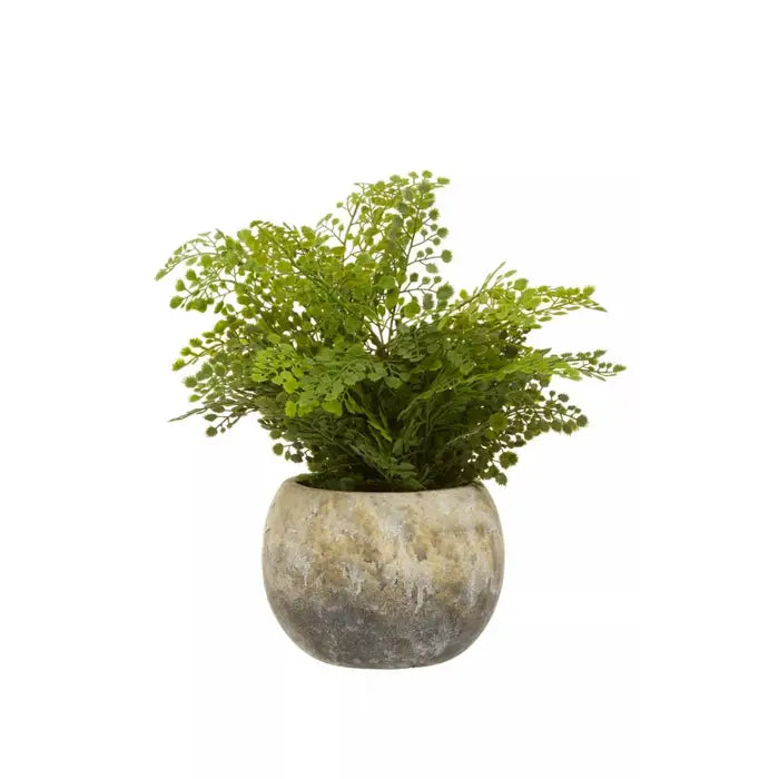 Artificial Fiori Fern With Cement Pot