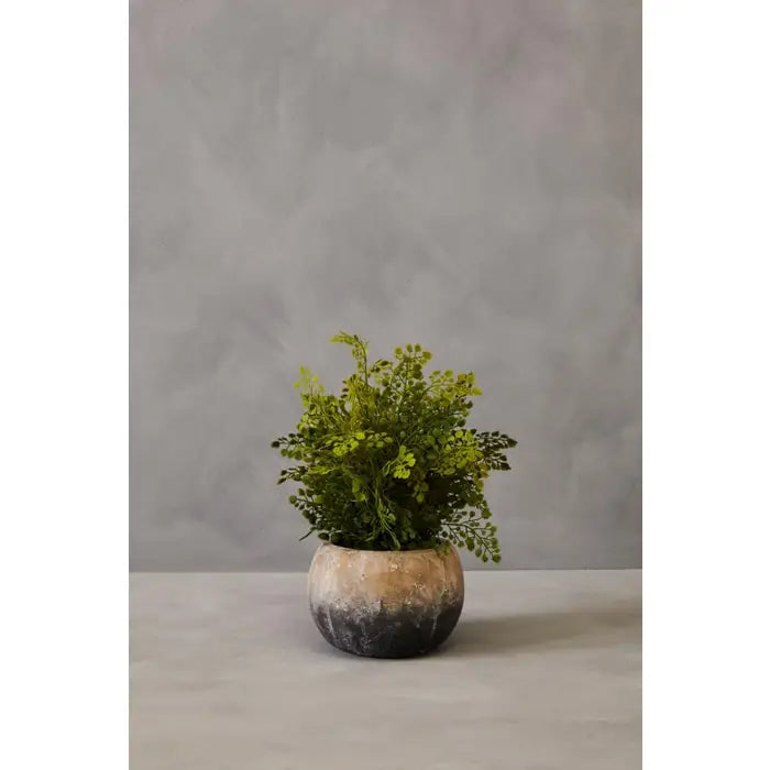 Artificial Fiori Fern With Cement Pot