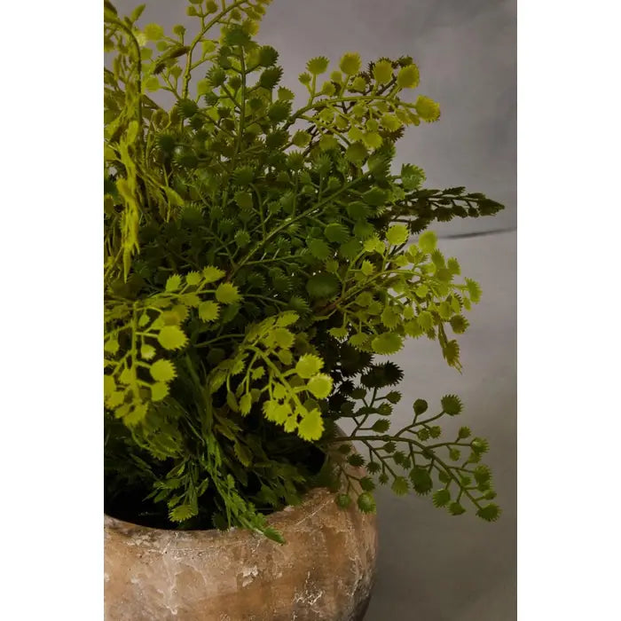 Artificial Fiori Fern With Cement Pot