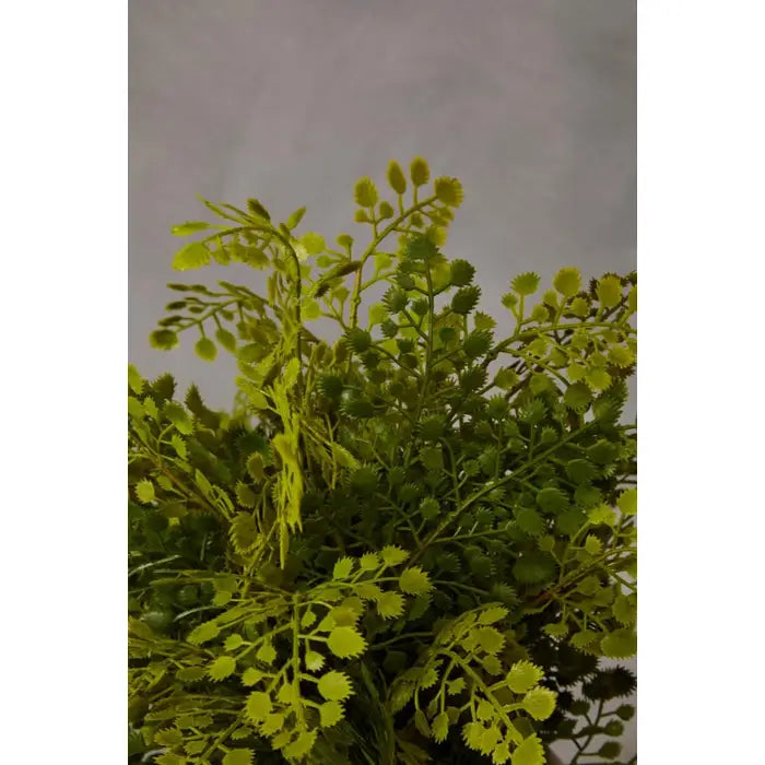 Artificial Fiori Fern With Cement Pot