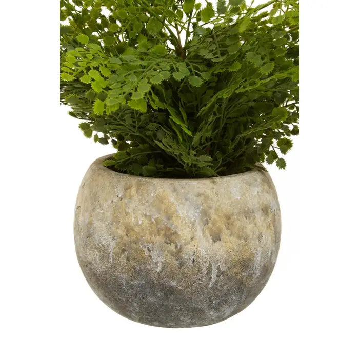 Artificial Fiori Fern With Cement Pot