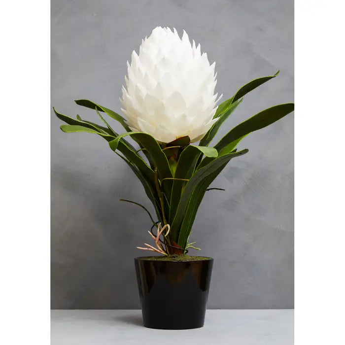 Artificial Fiori White Tropical Plant