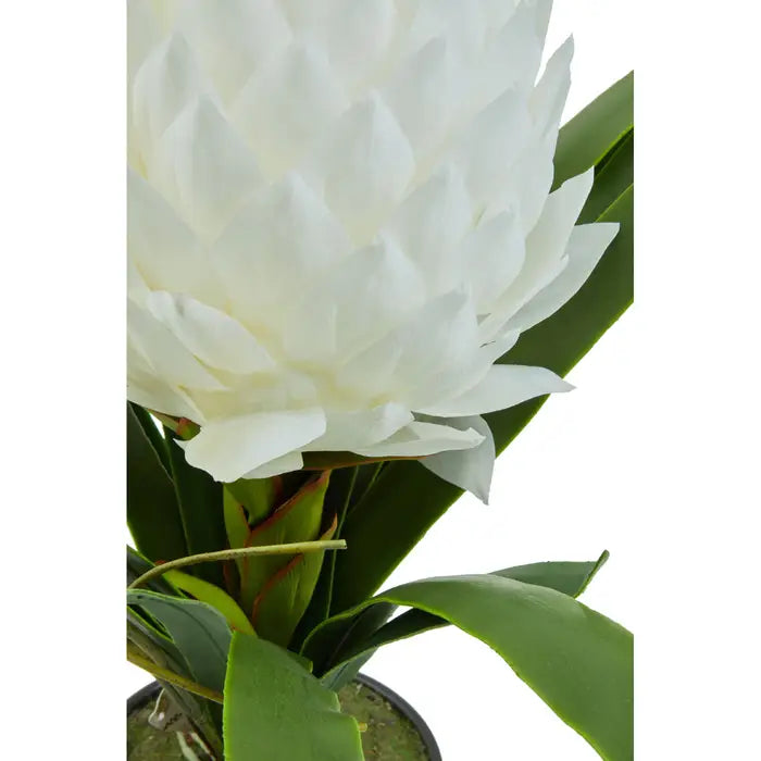 Artificial Fiori White Tropical Plant