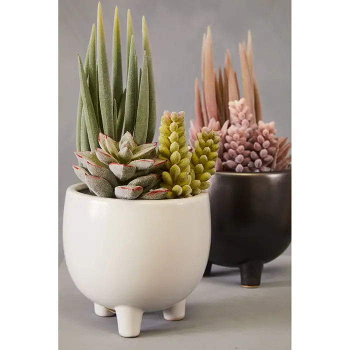 Artificial Fiori Mixed Succulents In Ceramic Pot