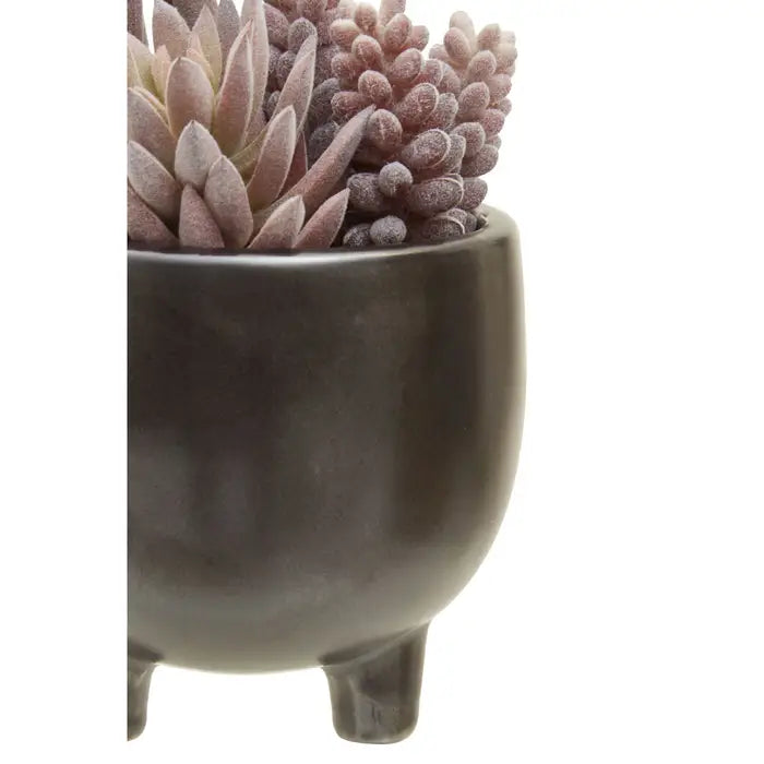 Artificial Fiori Mixed Succulents In Ceramic Pot
