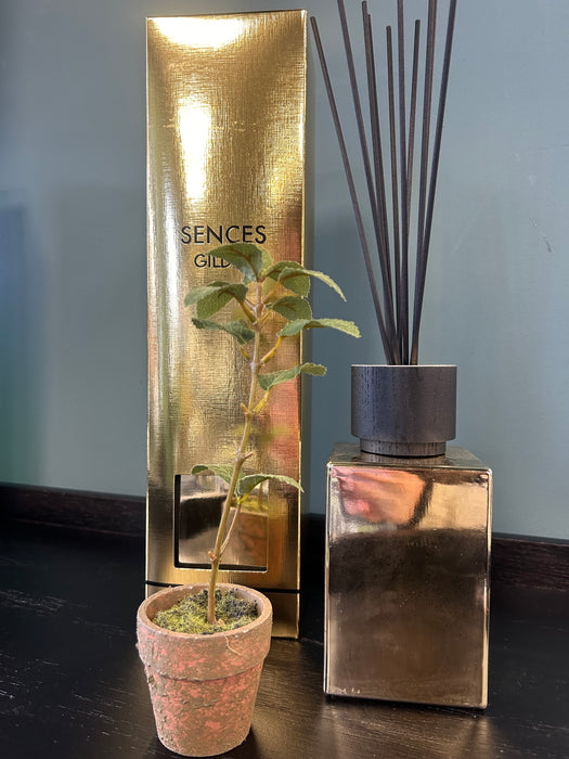 Sences Gilded Reed Diffuser - 500ml - Cashmere & Vanilla Fragrance