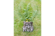 Outdoor Garden Planters, Grey Resin, Curved, Tree Stump Planter