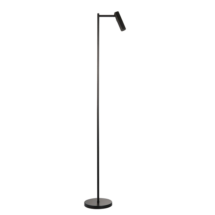 Dedicated Black Metal Readers Floor Lamp