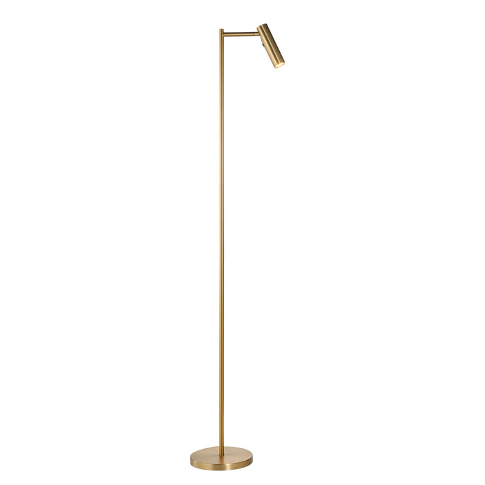 Dedicated Brass Metal Readers Floor Lamp