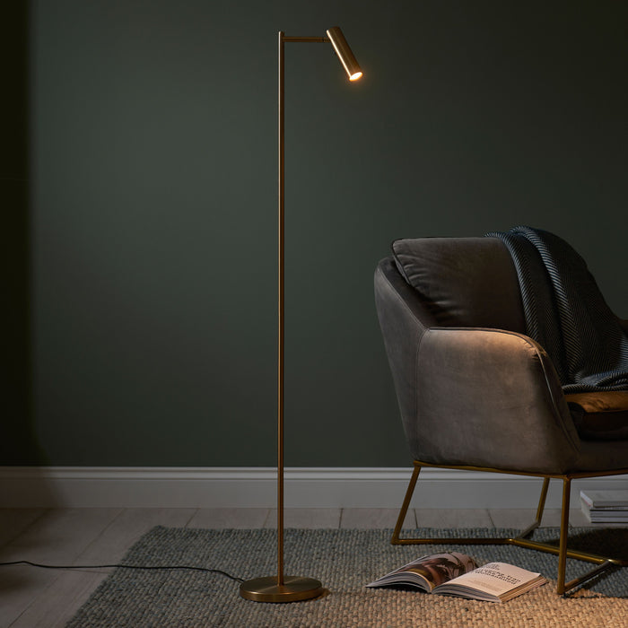 Dedicated Brass Metal Readers Floor Lamp