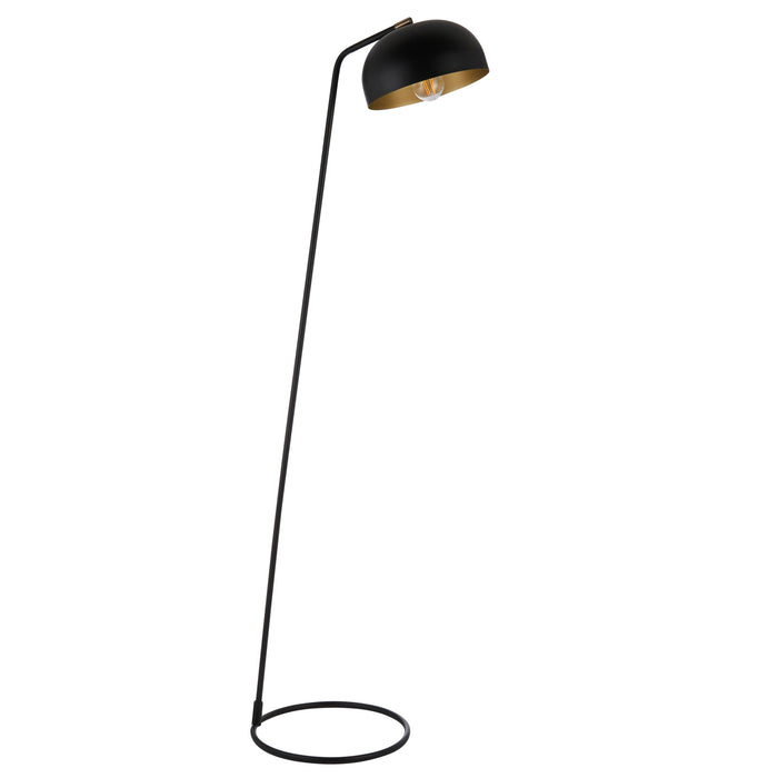 Brair Modern Black & Brass Metal Floor Lamp